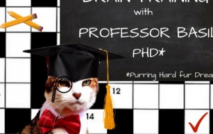 Brain Training with Cats #81 with your Epic host ~ Professor Basil P.H.D. **PLUS** An Epic Throwback To December 2017