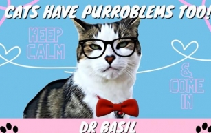 CATS HAVE PROBLEMS TOO! with Dr Basil ~ Featuring Today's Despurrate Dilemma **HELP! THEY CALL ME SIR TUB-A-LOT!**