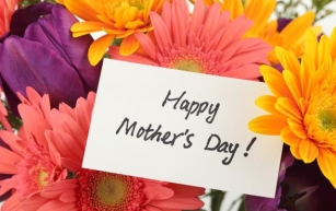 Candicci’s – Mother’s Day 2024 – Menu