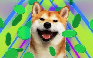 New Dogecoin (DOGE) cryptocurrency rivals Dogecoin with 420% launch predictions