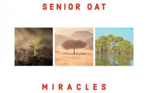 Senior Oat – The Only One ft Saltie [Mp3]
