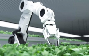 Key Players Company in Japan's Agritech Industry