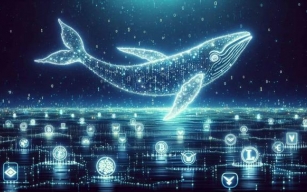 Crypto Whales, their impact on Crypto markets and why you should track them to succeed in trades