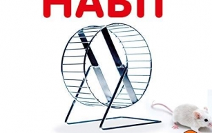 Review: The Power of Habit by Charles Duhigg
