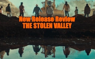 New Release Review - THE STOLEN VALLEY