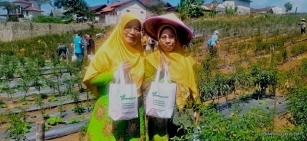 Muhammadiyah Panen Raya Sayur Sehat