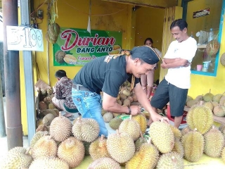 Berkah Ramadhan, Warung Durian Anto Belik Laris Manis