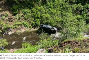 Dog Runs Four Miles To Get Help For Owner Who Crashed Car Into Oregon Ravine