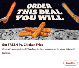 Free 4 Pc. Chicken Fries With $1+ Purchase At Burger King (5/4/24)
