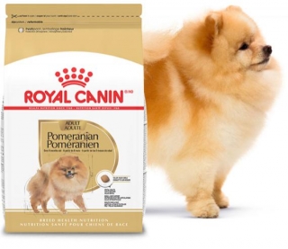 Possible Free Breed Health Nutrition Pomeranian Adult Dog Food