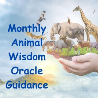 March 2024 Animal Wisdom & Oracle Guidance Reading