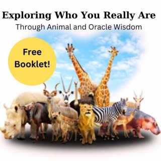 Exploring Who You Really Are Through Animal & Oracle Wisdom. Free Booklet.