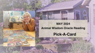 MAY Animal Oracle Guidance Reading: Pick-A-Card