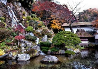 Sakurai Samurai Mansion Garden