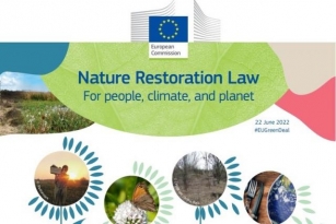 Ambientalistas Pedem Ao Governo Voto Favorável Na Lei Europeia Do Restauro Da Natureza
