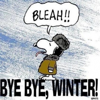 Bye Bye Winter