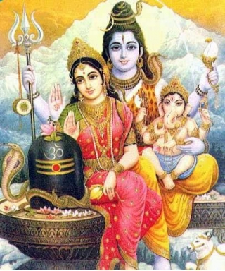Maha Shivaratri Rituals Observances 2024