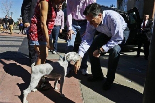 'I Didn't Shoot My Dog': Romney Says He's No Noem