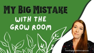 My Big Mistake With The Grow Room