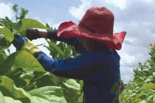 Tougher Remedies For Child Labor Violations