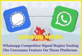 WhatsApp Competitor Signal Begins Testing The Username Feature On These Platforms