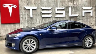 Tesla Remains Committed To India Expansion Despite Musk's Postponed Visit