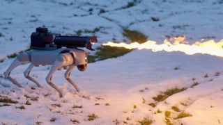 Throwflame's 'Thermonator' Is A Flamethrower-equipped Robot Dog: How It Works