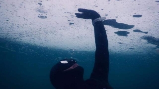 Plunge Into Antarctica's Ice Diving Adventure