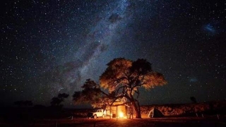 Starry Nights In NamibRand, Namibia Is A Celestial Spectacle