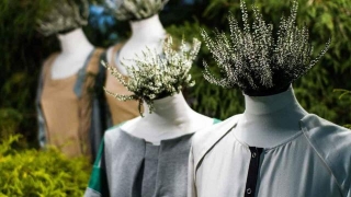 Embrace Eco-friendly Fashion Choices