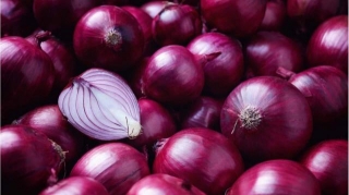 India To Export 99,500 Tons Of Onions To 6 Countries