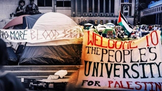 Explained: Pro-Palestine Agitation In US Universities, Protesters' Demands