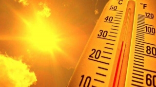 Kerala Shuts Educational Institutions Till Monday Amid Heatwave
