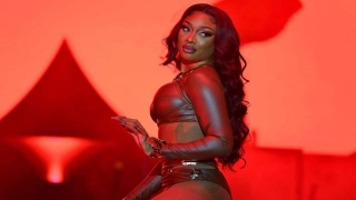 What's The Controversy Surrounding Lawsuit Against Megan Thee Stallion