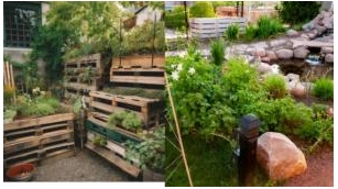From Concrete To Green-Urban Agriculture’s Ascendance