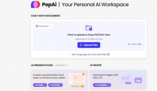 Enhancing Team Collaboration With PopAi: Understanding Work Styles And Communication Preferences