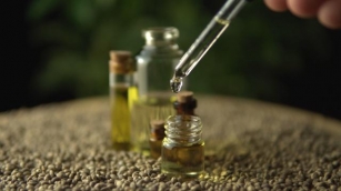 How To Choose The Best CBD Oil In Canada?
