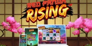 Supremeland Gaming ประสบความสำเร็จในสหรัฐอเมริกา