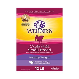 10 Best Dog Foods For Older Small Dogs With Few Teeth (2024)