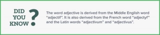 What Is An Adjective? Definition, Usage & Examples