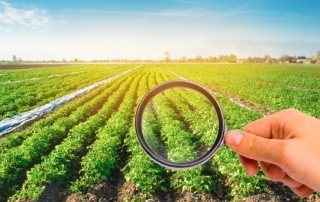 Unveiling The Dynamics Of The Crop Protection Market Share, Challenges, And Growth Drivers
