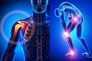 The Booming Orthopedic Devices Market: A Global Perspective