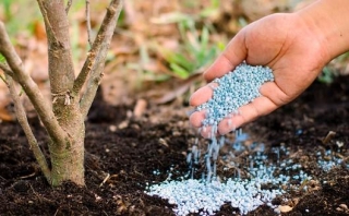 Exploring The Fertilizer Industry Growth, Trends, And Outlook