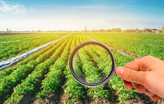 Exploring the Crop Protection Market Trends, Challenges, and Opportunities