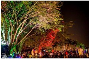 Festival Reúne Arte, Shows E Gastronomia Na Lagoa No Fim De Semana