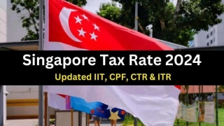 Singapore Tax Rate 2024: Know Eligibility And Tax Types