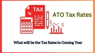 Australian Weekly Tax Schedule 2024: Lack Of TFN And Withholding Amount?