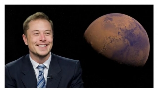 Know Everything About Elon Musk Syndrome