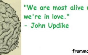 Great Quote by John Updike