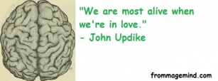Great Quote By John Updike